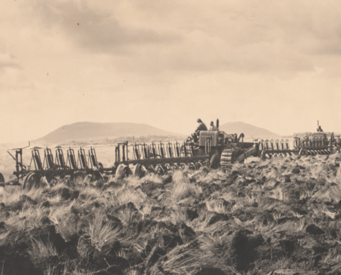 Majestic plough discs
