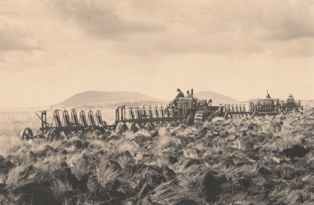 Majestic plough discs