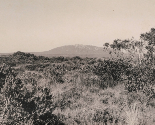 Virgin country looking from Survey Hill towards South Patriach